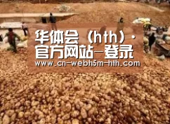 种植基地二