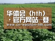 种植基地五