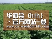 种植基地五(图1)