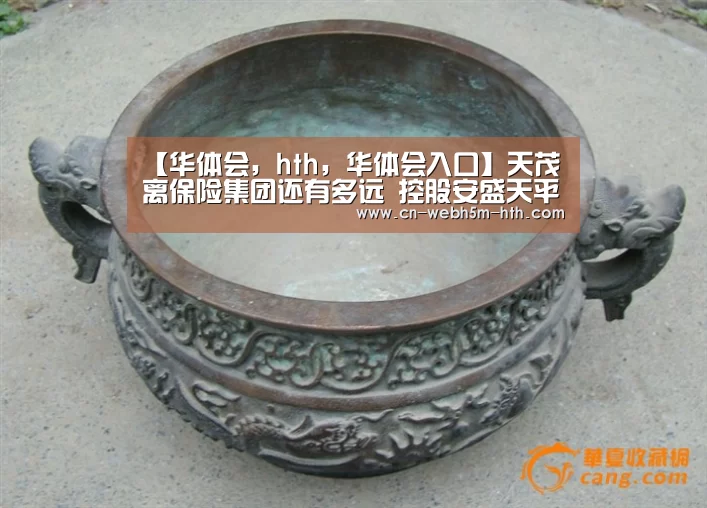 【华体会,hth,华体会入口】天茂离保险集团还有多远 控股安盛天平成关键(图3) 华体会,hth,华体会入口