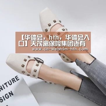 【华体会,hth,华体会入口】天茂离保险集团还有多远 控股安盛天平成关键(图2) 华体会,hth,华体会入口