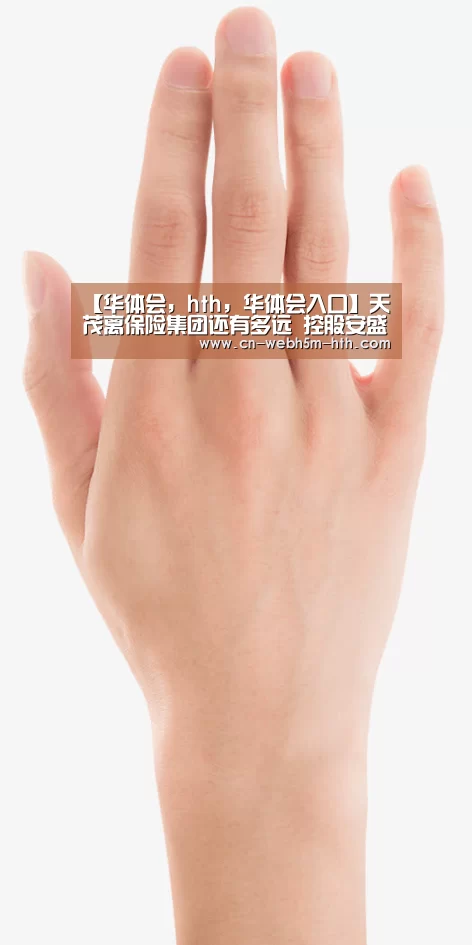 【华体会,hth,华体会入口】天茂离保险集团还有多远 控股安盛天平成关键(图4) 华体会,hth,华体会入口