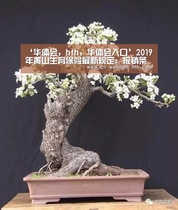 ‘华体会,hth,华体会入口’2019年黄山生育保险最新规定:报销条件、材料、流程、多少钱(图1) 华体会,hth,华体会入口